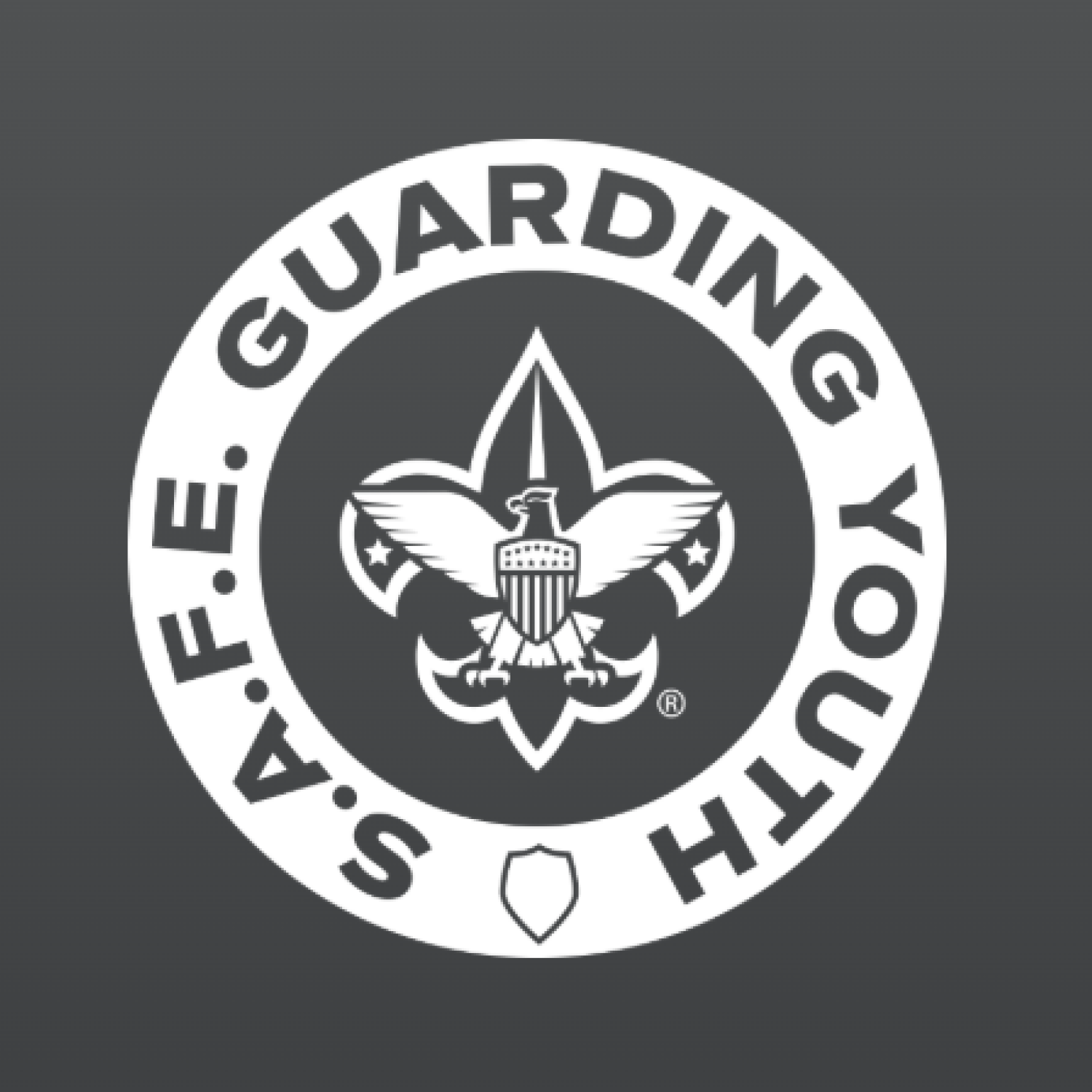 NEW AND UPDATED Safeguarding Youth - YPT